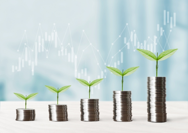 おひとりさま 老後資金